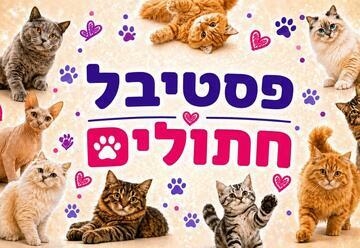 תמונת מופע: תערוכת חתולים בינלאומית ומופע קסמים&excl;